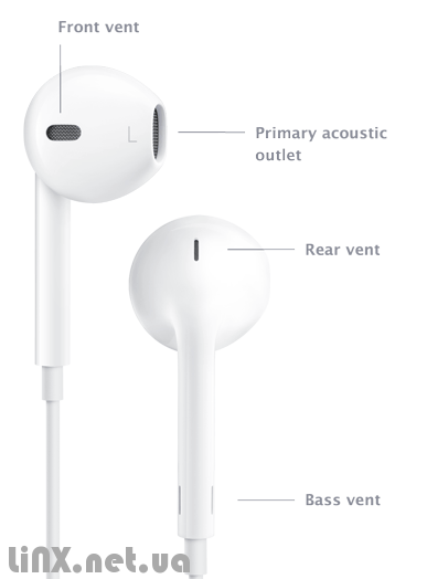 динамики в EarPods